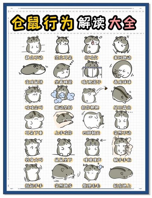 ������ƽ�水�������̳�