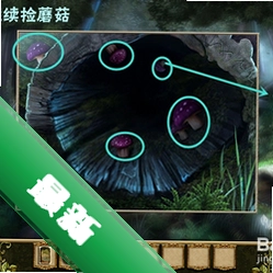 ����2:����ɭ�ֵ��԰�v1.0.0 2026ð�ս�����Ϸ