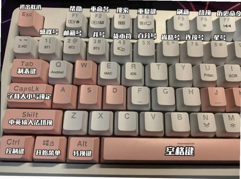 觉醒2落月森林电脑版 新手入门 键位 存档 操作指南