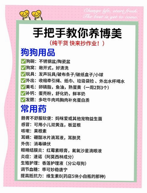 宠物外星人新手入门 核心玩法体验