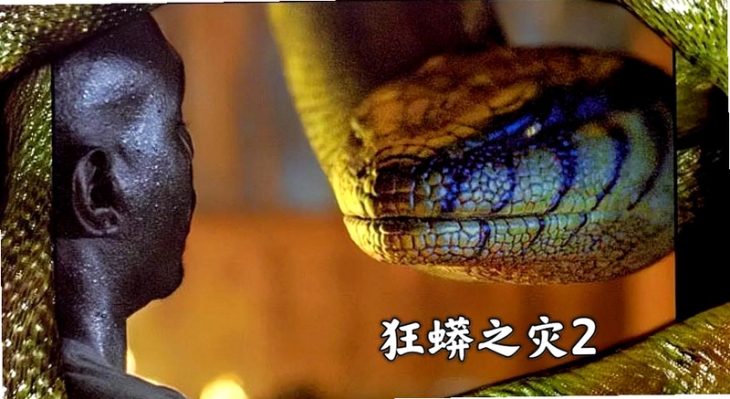 狂蟒之灾2血兰花 新手开局 生存技巧 静步躲蛇