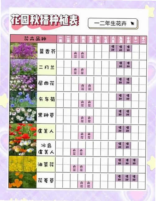 魔法花园新手开荒种花攻略,关键词必须包含 {魔法花园新手开荒},文字可概括整篇文章全部内容,用于搜索配图