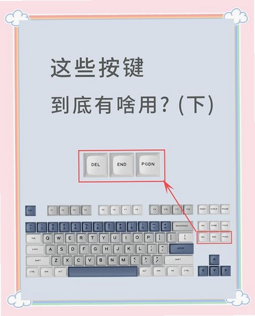 了不起的伯纳德The Amazing Bernard按键说明 操作技巧 新手常见错误