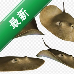 ����v1.0.0 Ч�ʰ칫����