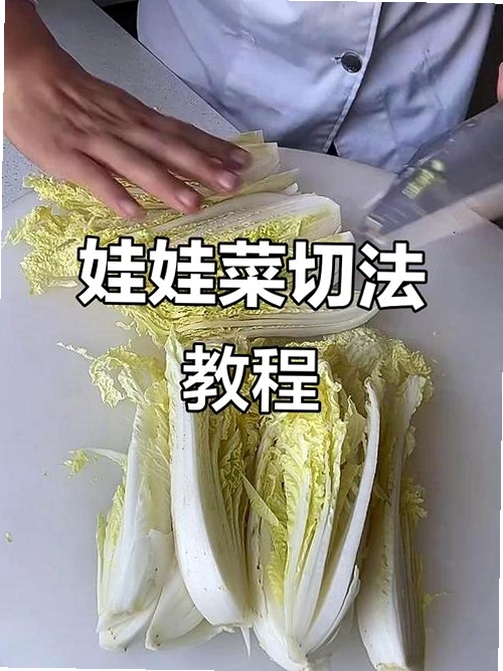 蔬菜娃娃按键说明电脑版操作指南,关键词必须包含 {蔬菜娃娃按键说明},文字可概括整篇文章全部内容,用于搜索配图