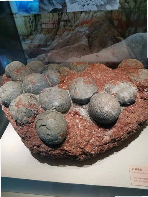 ��������ʯ���ֹ������߽��棬�ؼ��ʱ������ {������}��չʾ�걾�б��ͷ����ǩ