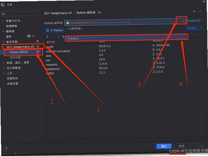 PyCharm 2024中文界面代码编辑窗口