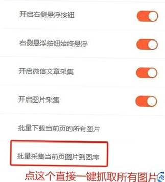 后裔批量下载操作演示 关键词必须包含 {后裔网页图片抓取},文字可概括整篇文章全部内容,用于搜索配图