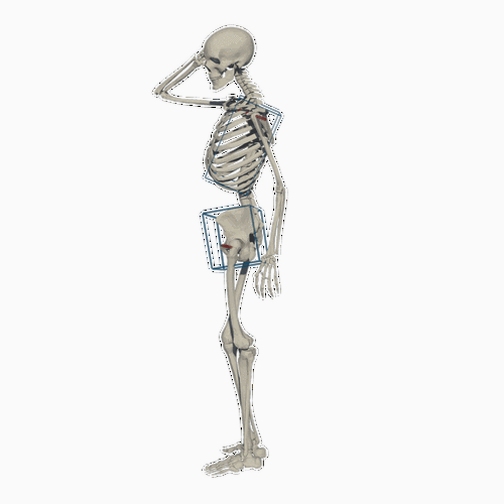 3D人体模型 动态姿势 绘画参考工具