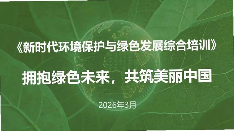 关键词必须包含 绿色节拍计划电脑版,文字可概括整篇文章全部内容,用于搜索配图