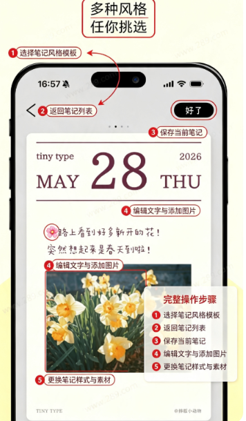 排版小动物app免费下载 排版小动物app免费下载