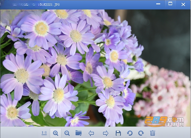 viewͼƬ�鿴�����Թٷ�����