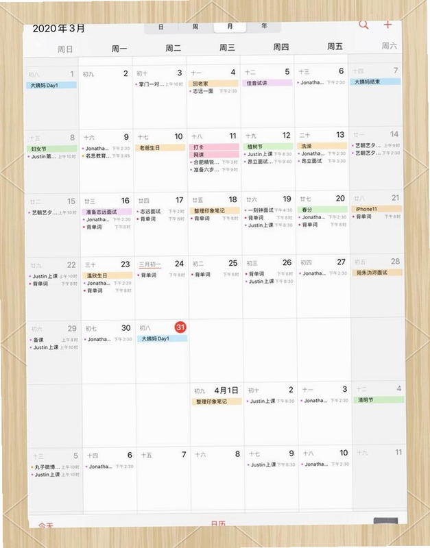 八天电脑版日历视图与任务清单界面,关键词:时间管理软件
