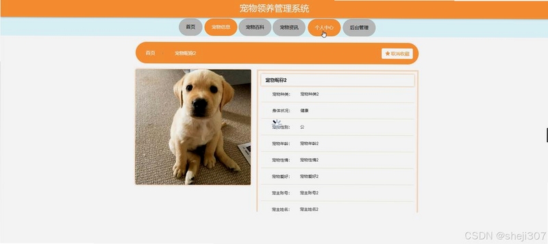 饲养员电脑版 宠物门店 日常管理 界面总览