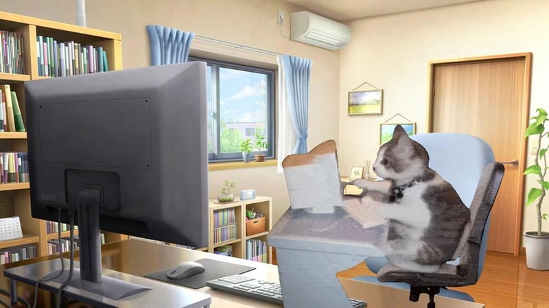 喵Meow电脑版界面展示猫咪图片墙