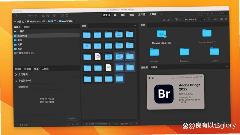 Adobe Bridge 2022中文破解版素材管理界面缩略图预览,关键词必须包含 Adobe Bridge 2022 素材管理,文字可概括整篇文章全部内容,用于搜索配图