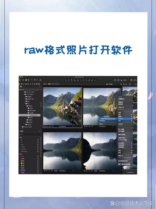 摄影师使用Adobe Bridge 2022整理RAW照片工作场景,关键词必须包含 Adobe Bridge 2022 摄影师 整理照片,文字可概括整篇文章全部内容,用于搜索配图