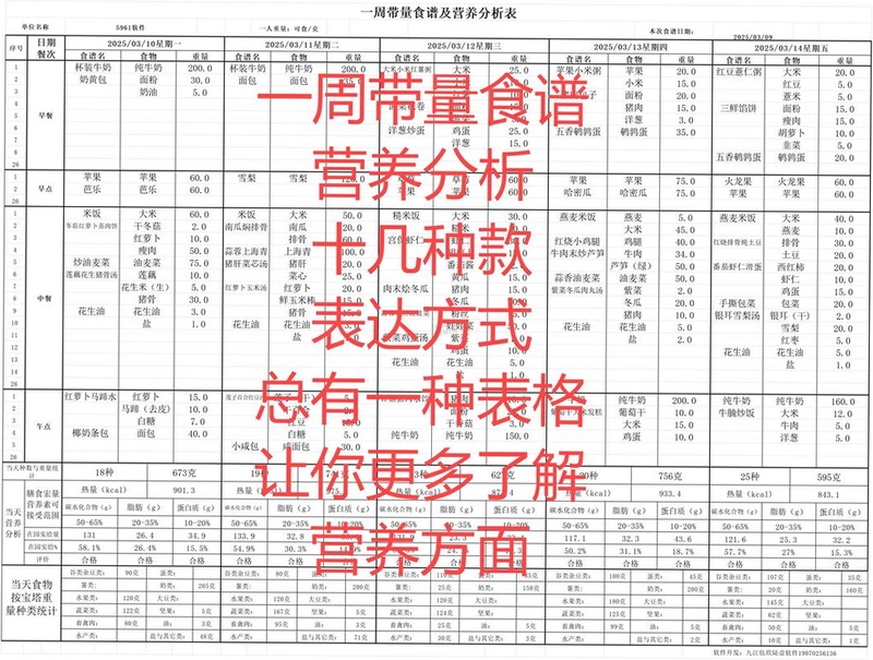 吃货计划电脑版 食物记录 营养分析图表