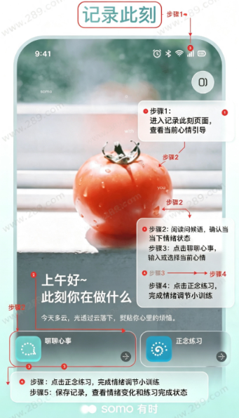 somo 有时2026最新版下载 somo 有时2026最新版下载