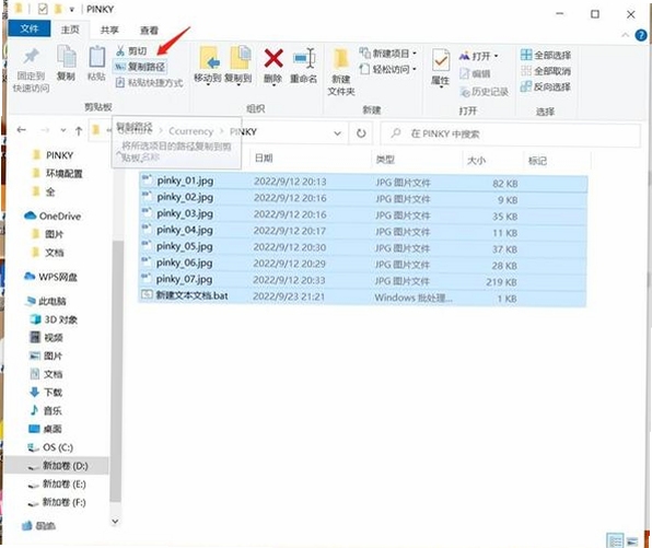 关键词必须包含 ACDSee 2021 批量处理 速度,文字可概括整篇文章全部内容,用于搜索配图
