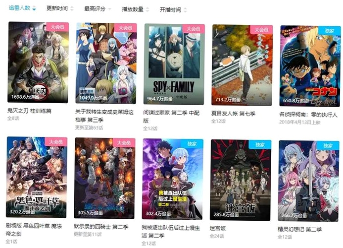 动漫追番管理 播放进度记忆 硬件解码优化