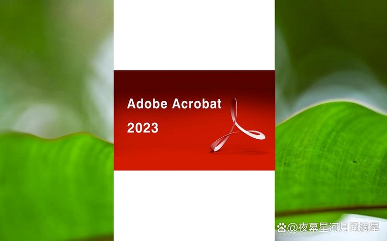 �ؼ��ʱ������ {Adobe Acrobat DC 2023���İ�ʵ�ù��ܽ���}�����ֿɸ�����ƪ����ȫ�����ݣ�����������ͼ