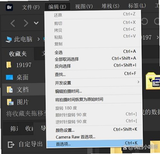 Adobe Bridge CC2020 素材管理界面 缩略图浏览 关键词必须包含 {Adobe Bridge CC2020}