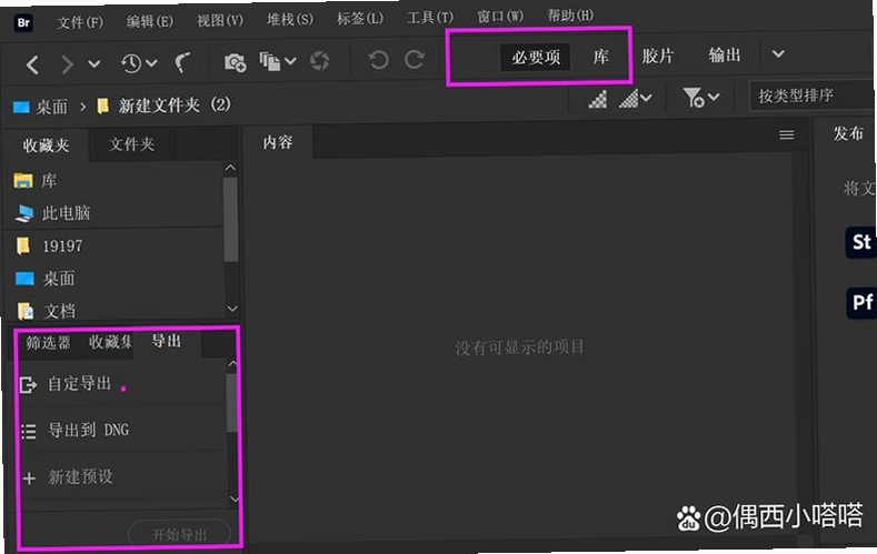 Adobe Bridge CC2020 批量重命名 滤镜面板 关键词必须包含 {Bridge 批量处理}