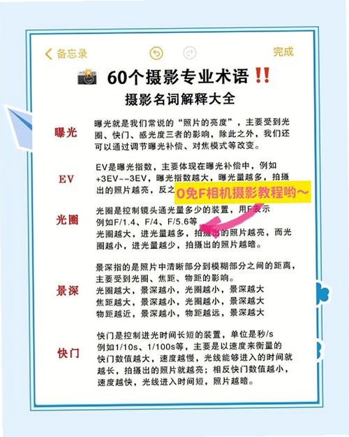 摄影师使用Bridge筛选照片 关键词必须包含 {照片筛选与标签},文字可概括整篇文章全部内容,用于搜索配图