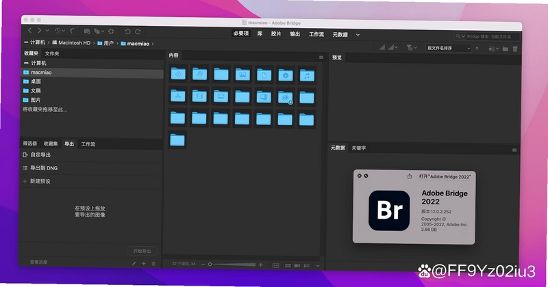 Adobe Bridge 2023 素材管理界面 关键词必须包含 {文件预览与整理},文字可概括整篇文章全部内容,用于搜索配图