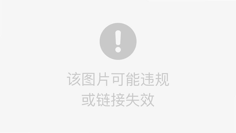 链接转文字 使用教程 设置界面 截图
