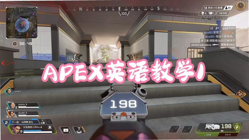 APEX XINGL ʹ�ý̳� ���ý���