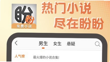 盼盼小说 阅读界面 护眼模式