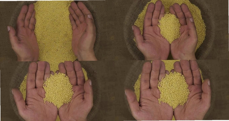 捡米生活 使用教程