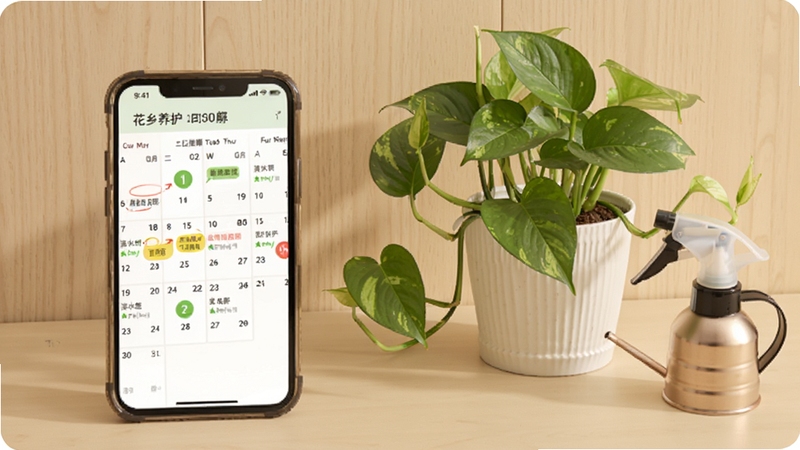 花乡花养护提醒功能界面截图,手机屏幕显示一组养护日历,标注浇水施肥时间,旁边摆放一盆绿萝和一个小喷壶,桌面整洁,背景为浅色木纹,风格简约温馨,突出软件的贴心服务