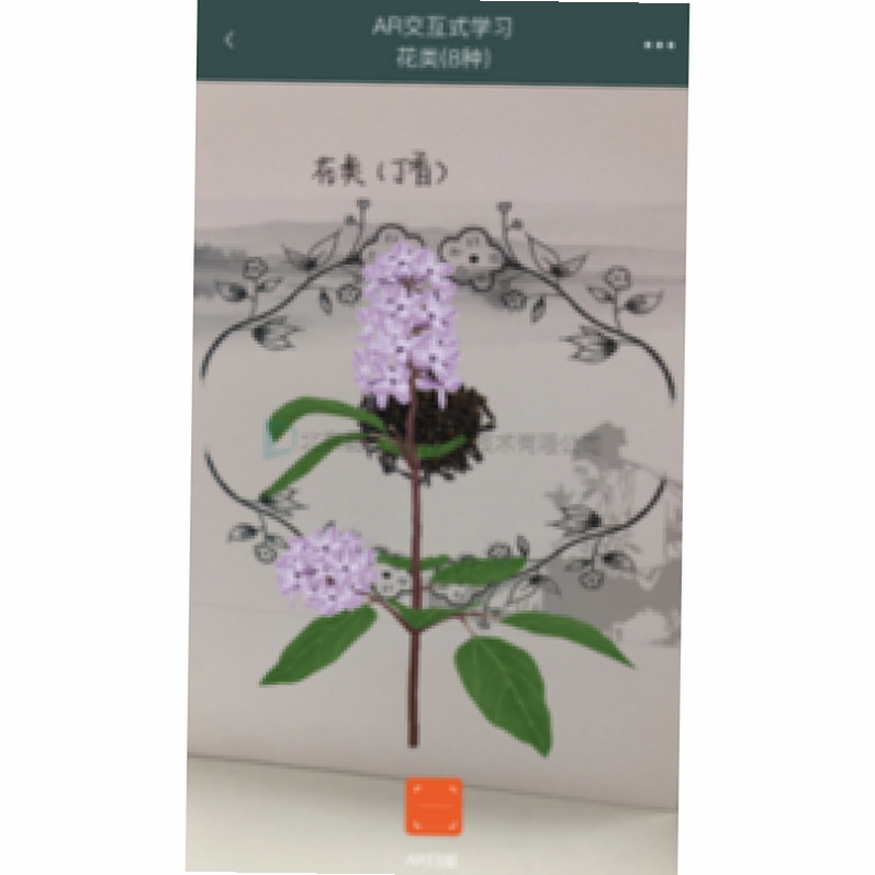 梓材臻草 识别 截图