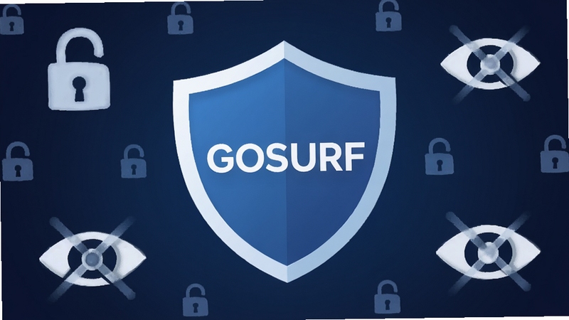 һ�ž��а�ȫ�е���˽��������ͼ������������һ������ͼ�꣬�ڲ���GOSURF�����������������Ϊ����ɫ���䣬������ϸС�����κ��۾���������ͼ�꣬��ʾ��ֹ׷�٣�����ɫ�����ȣ����ݳ���ȫ�ɿ��ĸо�