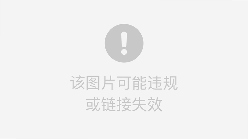 SlimPDF Reader 中文设置