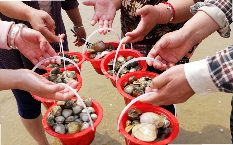 赶海宝 使用教程