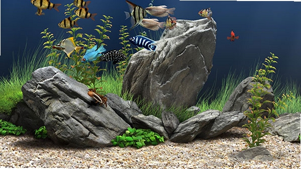 Dream Aquarium ��Ļ�����������ý���