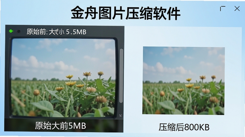 金舟图片压缩软件对比界面特写,左右分屏显示压缩前后的图片细节,左侧标注原始大小5MB,右侧标注压缩后800KB,画质细腻无噪点,背景为淡蓝色渐变,突出软件名称“金舟图片压缩软件”