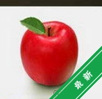 �ܼ��Ÿ��˰�v5.0.2026 ���˼��˹���