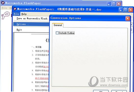 Macromedia FlashPaper 转换设置界面