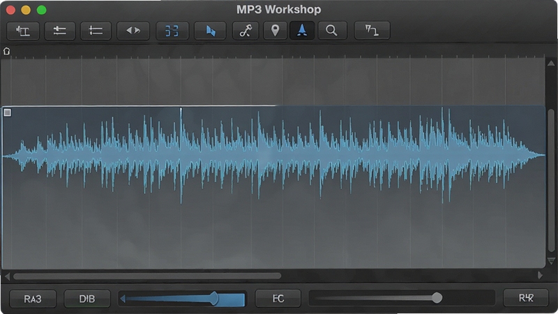 MP3 Workshop ��Ƶ���α༭���棬��ʾ����ѡȡƬ�������������������Ϊ��͵Ļ�ɫ���䣬���������������༭��ť������������������ϸ����������