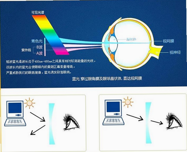 东方之窗镜片种类介绍