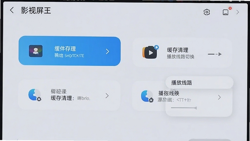 影视屏王设置界面,展示缓存清理与播放线路切换选项,背景为浅色设置页面,图标清晰,突出优化功能,整体风格简洁明了