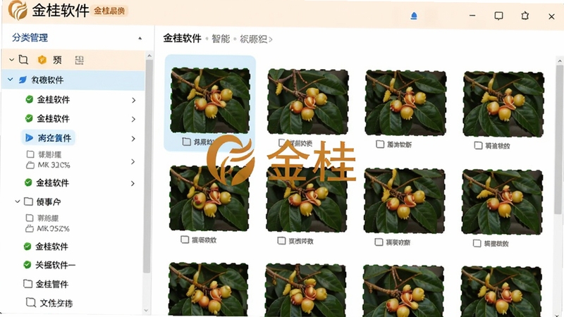 金桂软件智能文件归类功能界面,左侧为分类列表,右侧展示缩略图网格,色彩鲜明,界面清爽,体现高效管理,中心显示金桂Logo水印