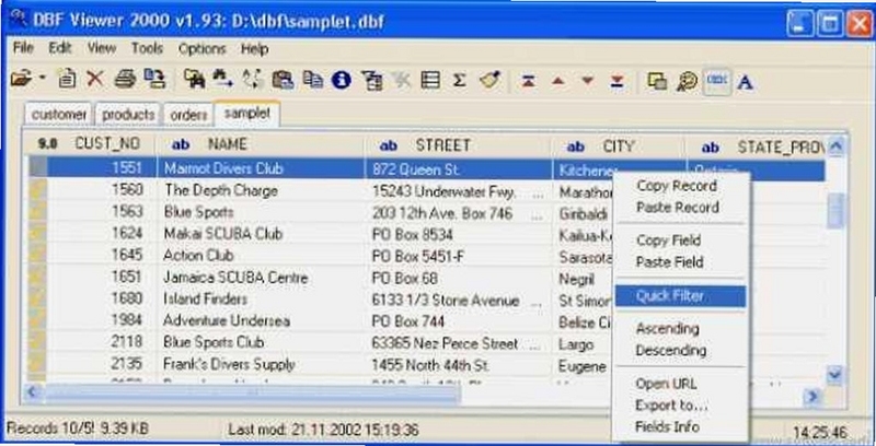 DBF Viewer 2000 使用教程 界面操作