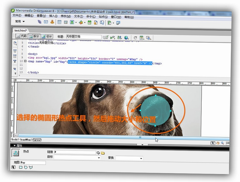 Macromedia Dreamweaver ���������Լ����