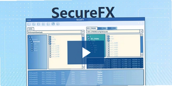 SecureFX ��������ͼ